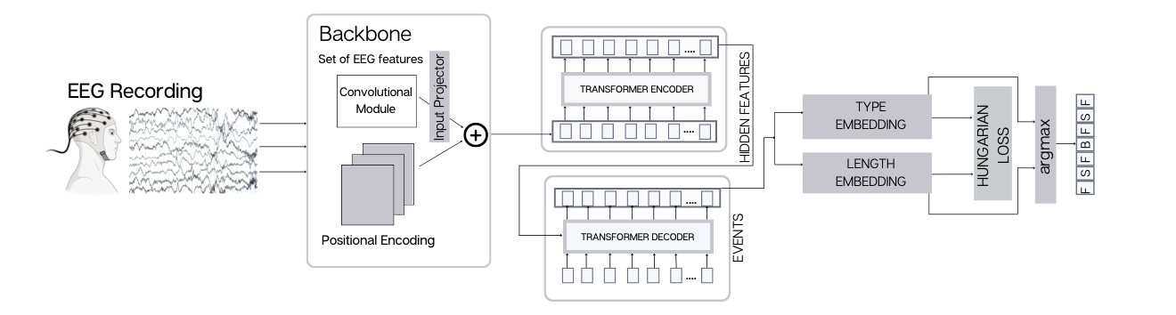 DETRtime Architecture